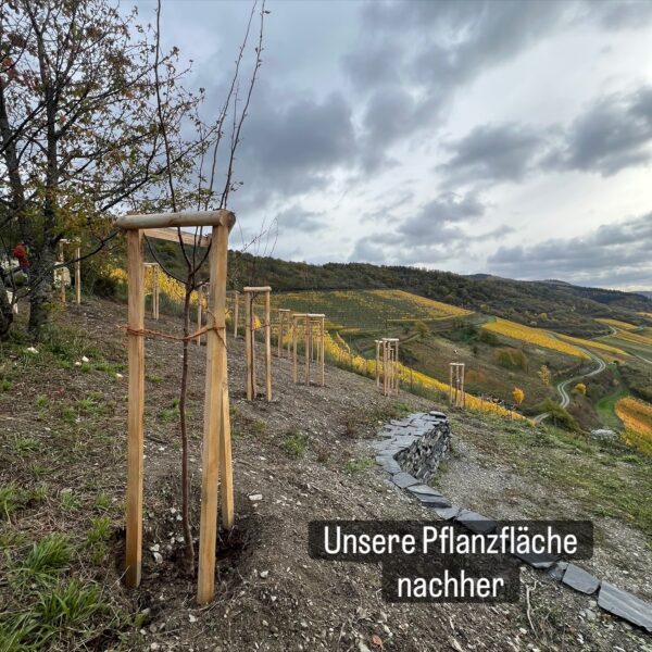 8ADE7CE8-BF87-40FE-BBE5-8B8363F2AA75