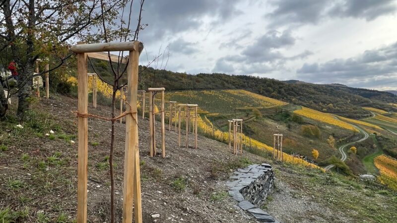 8ADE7CE8-BF87-40FE-BBE5-8B8363F2AA75