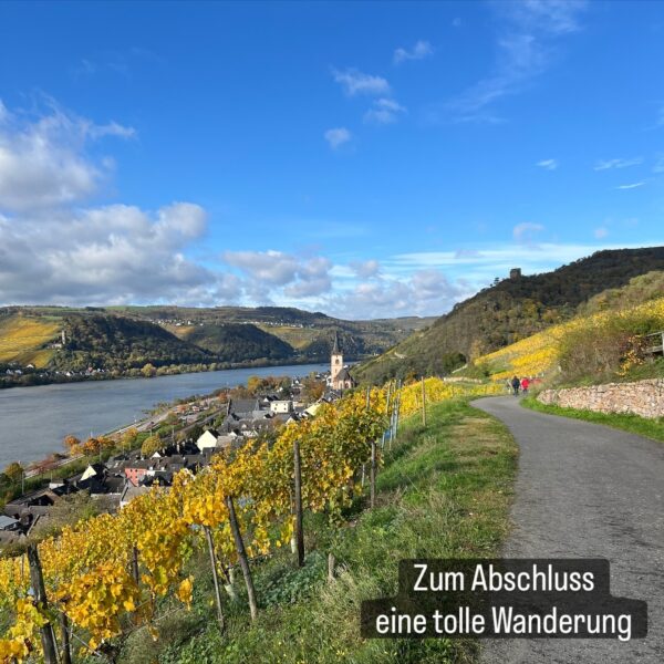 CF38E19A-4DD6-43CF-AE72-4E066D0508C3