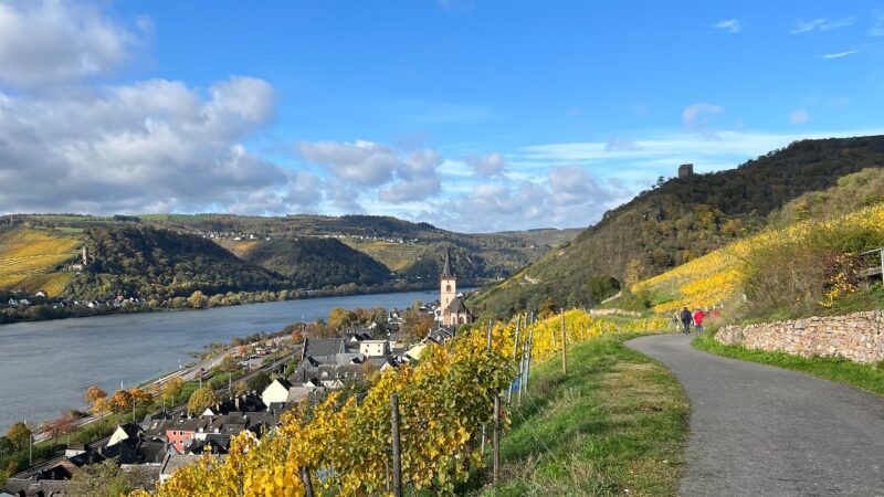 CF38E19A-4DD6-43CF-AE72-4E066D0508C3