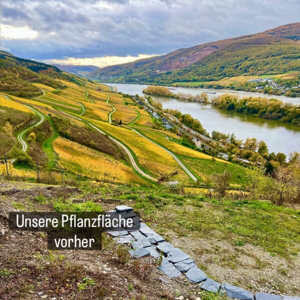 EA03A639-5C1E-48C8-AF9F-13940BD49AE6