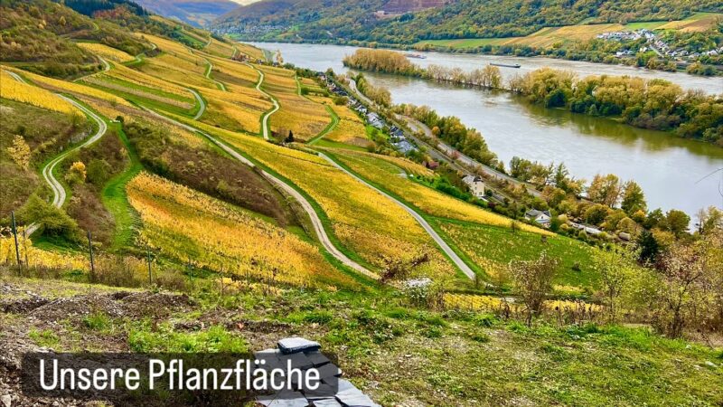 EA03A639-5C1E-48C8-AF9F-13940BD49AE6