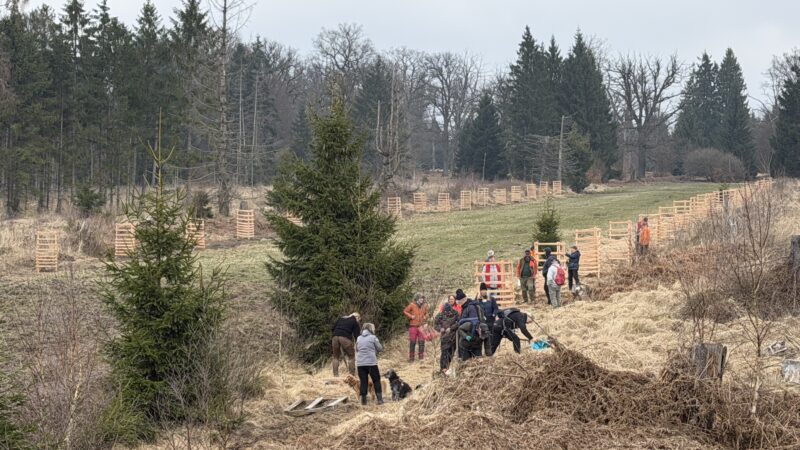 Foto 21.03.26, 13 45 06